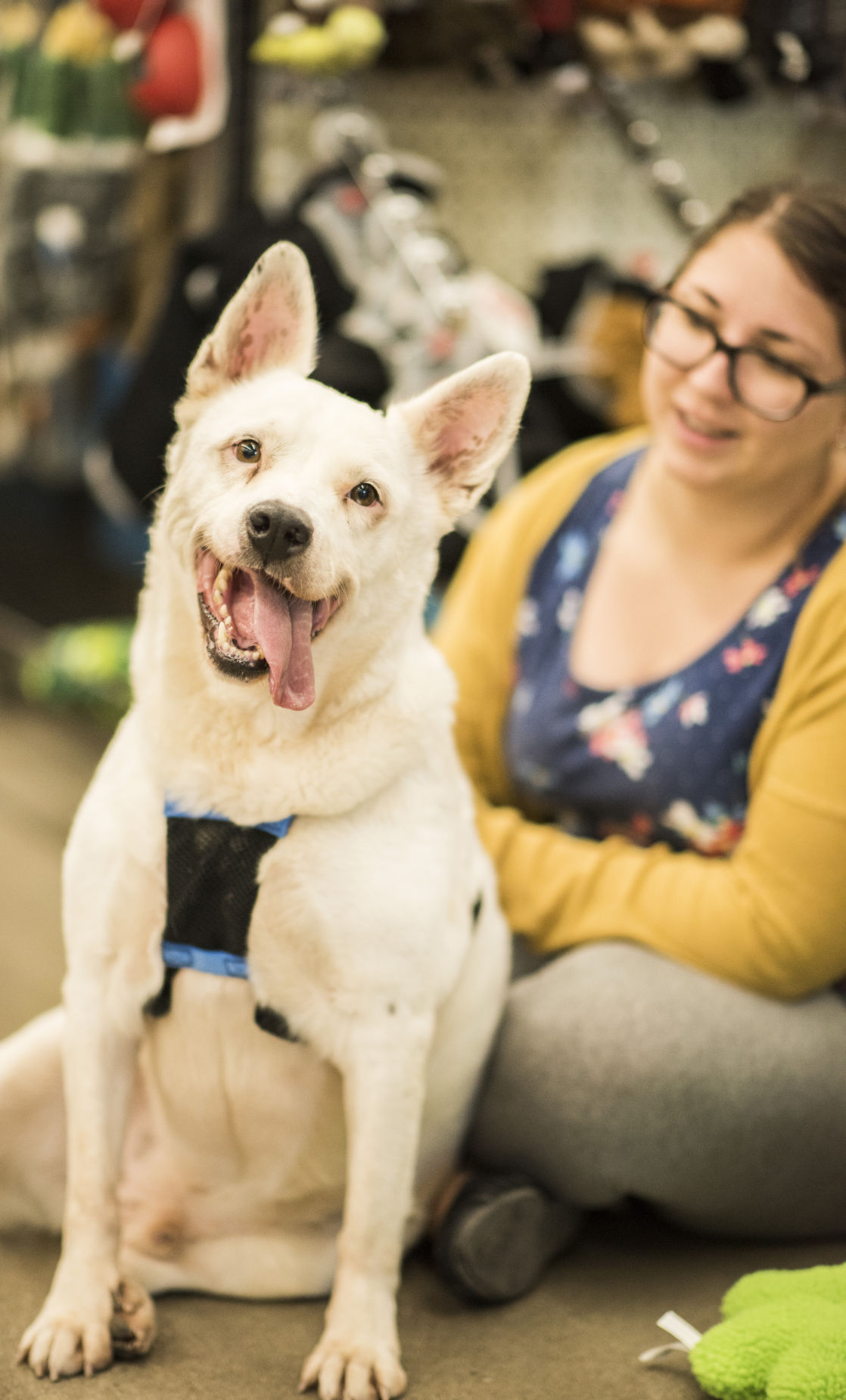 PACC Adoption